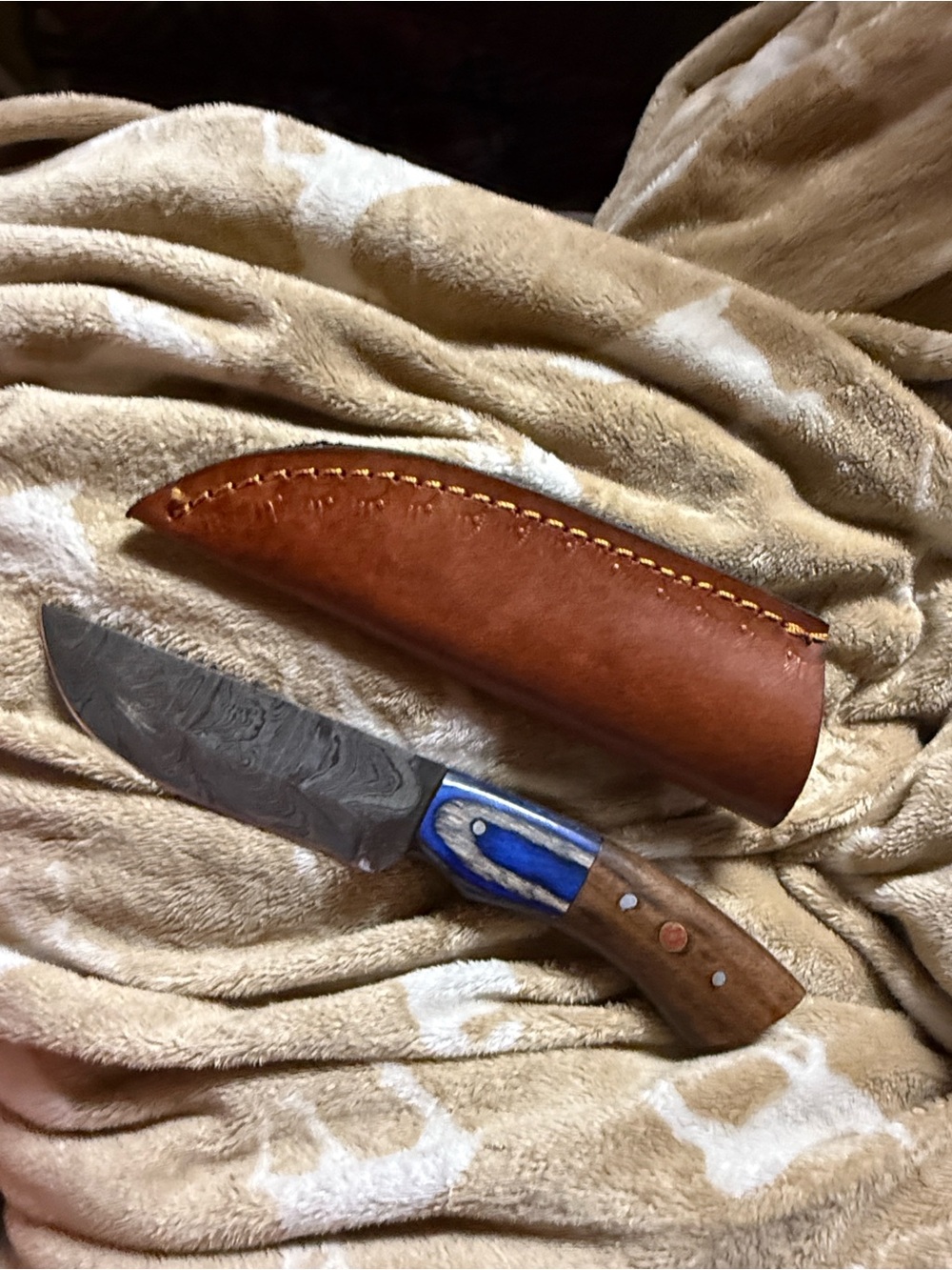 Handmade Damascus Fixed Blade Knife with Leather Sheath - Blue Accent